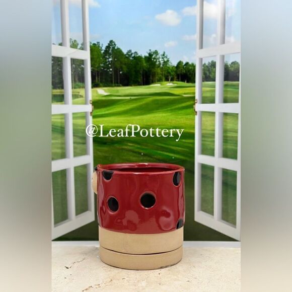 Miss Ladybug Red/Black Ceramic Planter Pot with Saucer Attached - Picture 8 of 11